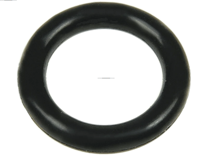 Brand new AS-PL Starter motor o-ring