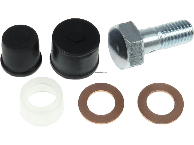Brand new AS-PL Repair set for vacuum pump