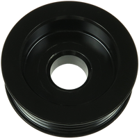 AP6020S - AP6020SF