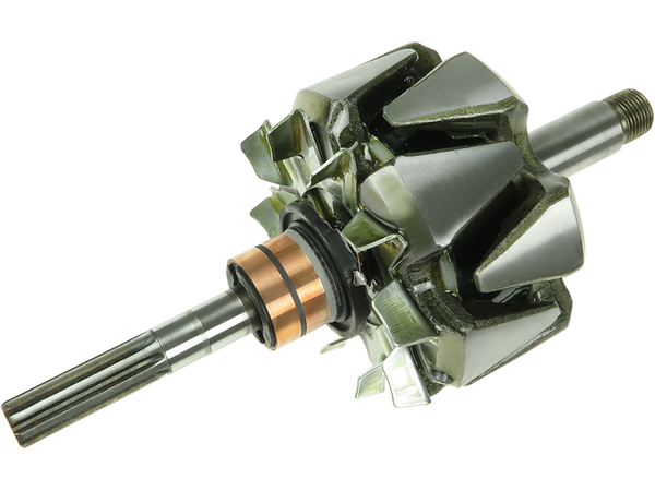 AR2004 — Växelströmsgeneratorers rotorer