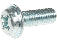 AS-PL Startmotors skruv SRS0198S(BULK)