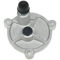 P4007S - P4007S