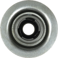 SD1072P - SD1072PS