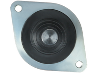 SS1029P