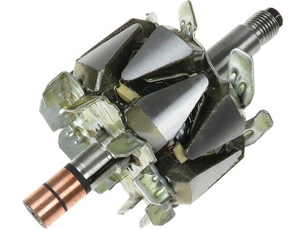 AR6031S — Växelströmsgeneratorers rotorer