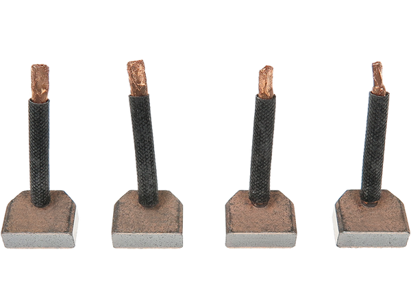 SB2006 — Startmotorers borstar