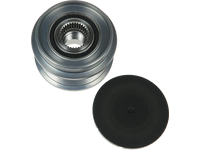 AFP0011(V)