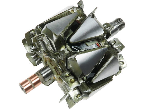 AR3010 — Växelströmsgeneratorers rotorer