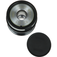AFP0117(LITENS) - AFP0117(LITENS)F