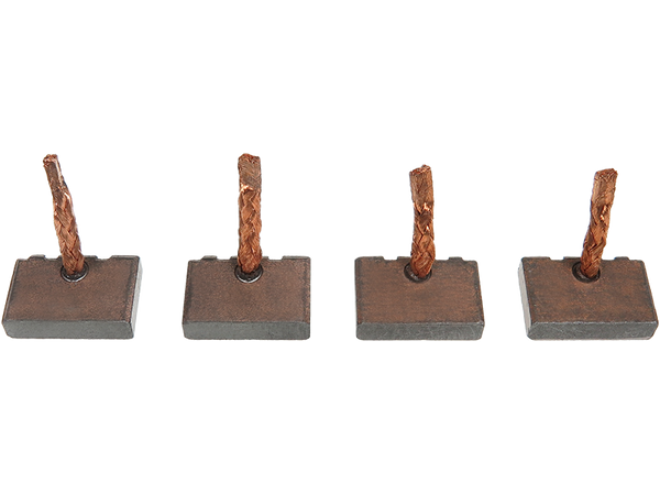 BSX190-191 — Startmotorers borstar