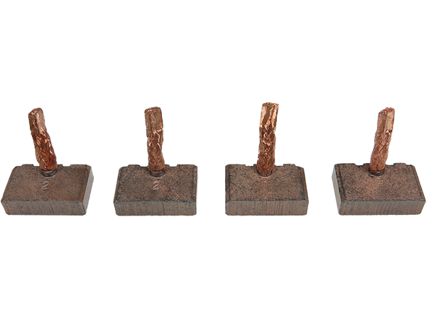 BSX194-195 — Startmotorers borstar