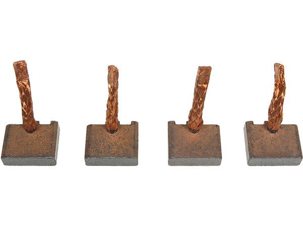 BSX220-221 — Startmotorers borstar