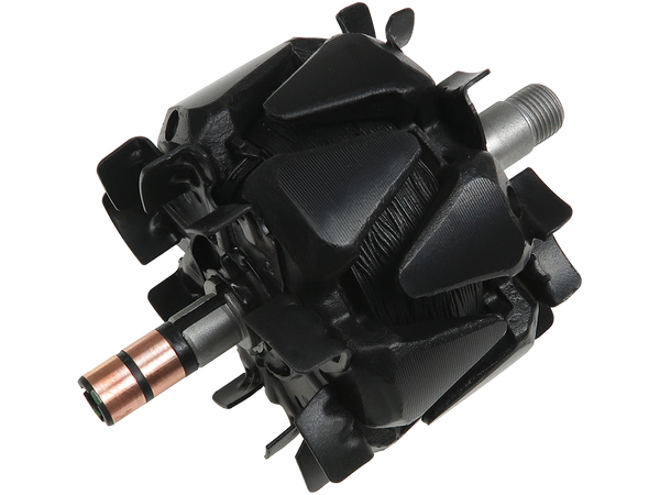 AR3010PR — Växelströmsgeneratorers rotorer