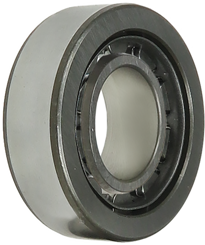 Brand new INA Bearing