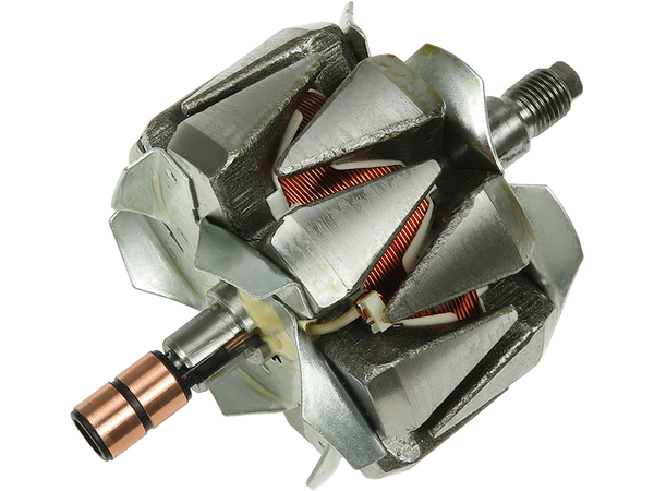 AR6011 — Växelströmsgeneratorers rotorer