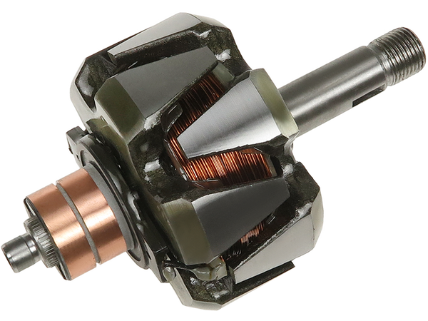 AR3042S — Växelströmsgeneratorers rotorer