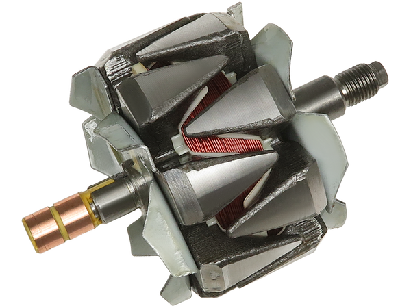 AR6036S — Växelströmsgeneratorers rotorer