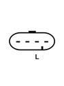 293035