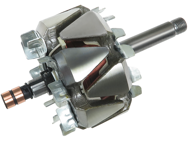 AR0107S — Växelströmsgeneratorers rotorer