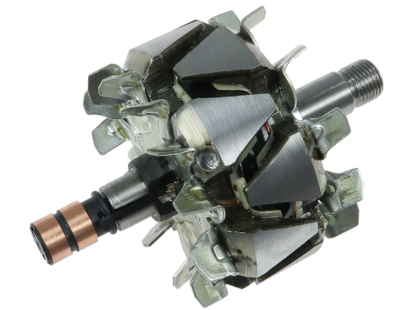 AR0118S — Växelströmsgeneratorers rotorer
