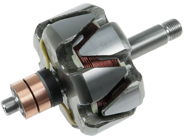 AR0119S — Växelströmsgeneratorers rotorer