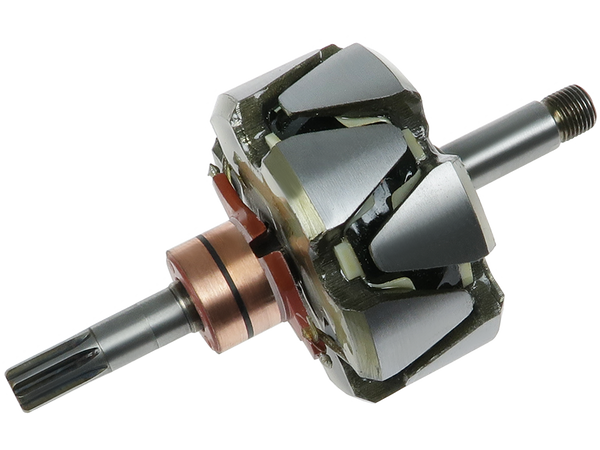 AR2031S — Växelströmsgeneratorers rotorer