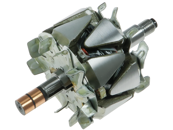 AR6042S — Växelströmsgeneratorers rotorer