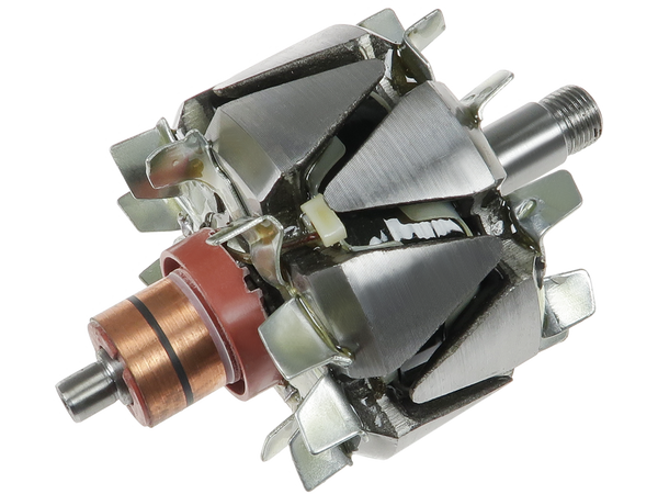 AR2010 — Växelströmsgeneratorers rotorer