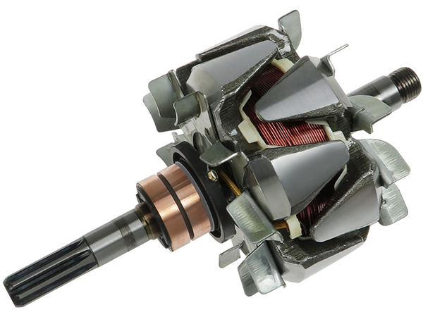 AR2013 — Växelströmsgeneratorers rotorer