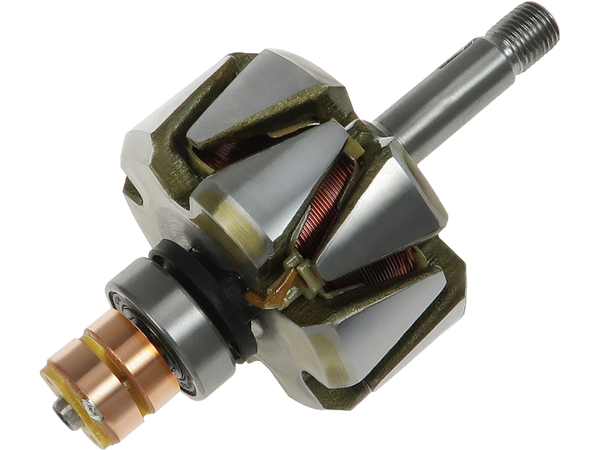 AR9013 — Växelströmsgeneratorers rotorer