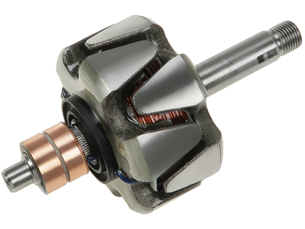 AR0147P — Växelströmsgeneratorers rotorer