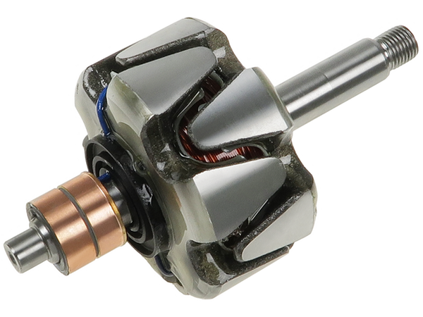 AR0141P — Växelströmsgeneratorers rotorer