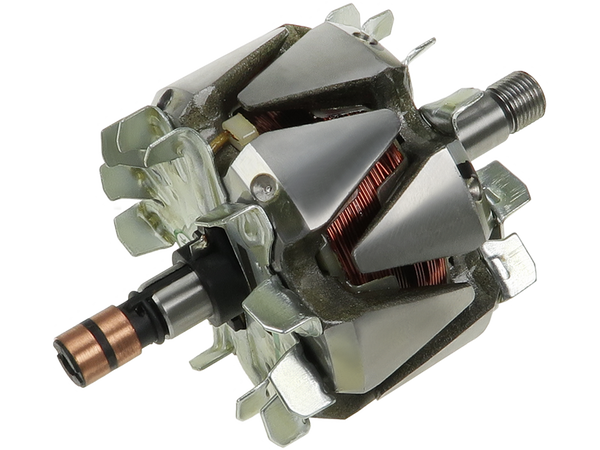 AR0136P — Växelströmsgeneratorers rotorer