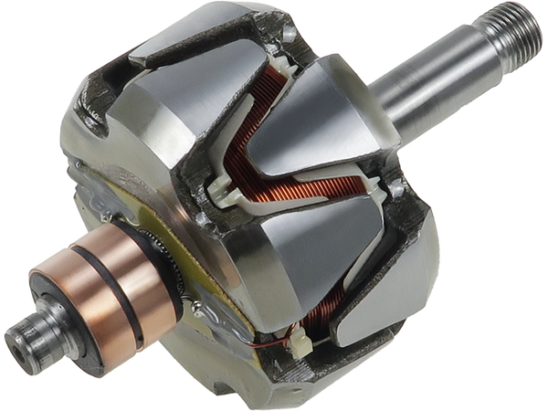 AR4019S — Växelströmsgeneratorers rotorer