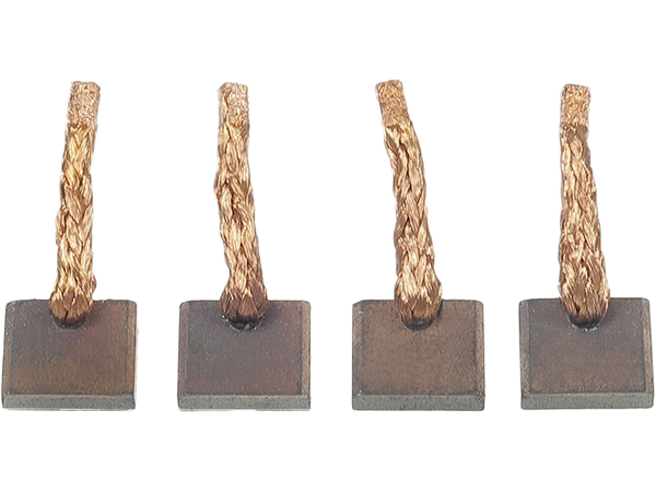 SB1006 — Startmotorers borstar