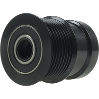 AFP0094(LITENS) - AFP0094(LITENS)B1