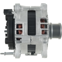 A01204(SEG) - A01204(SEG)B