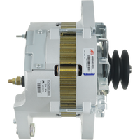 A9595(NIKKO) - A9595(NIKKO)B
