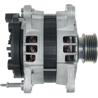 A01155(SEG) - A01155(SEG)B