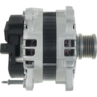 A01315(SEG) - A01315(SEG)B