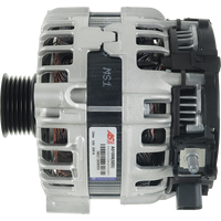 A01006(SEG) - A01006(SEG)B1