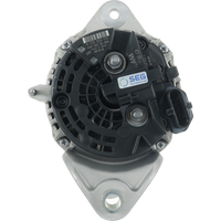 A01319(SEG) - A01319(SEG)S
