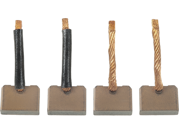 SB2004 — Startmotorers borstar