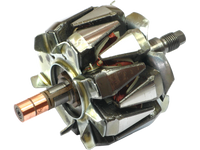 AS-PL Generator rotor AR6013