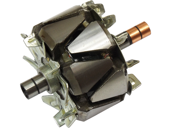 AR6020 — Växelströmsgeneratorers rotorer