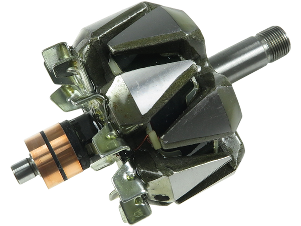 AR1010 — Växelströmsgeneratorers rotorer