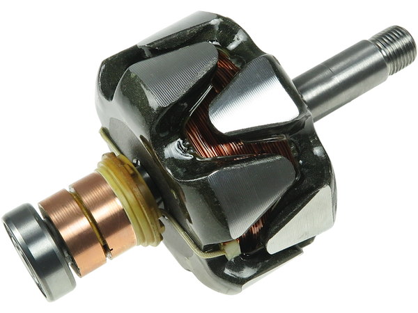 AR9019(LETRIKA) — Växelströmsgeneratorers rotorer