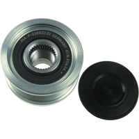 AFP6013(INA) - AFP6013(INA)F