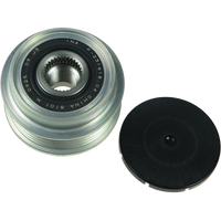 AFP1001(INA) - AFP1001(INA)F